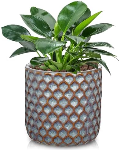 Oairse Small Ceramic Pots for Plants, 5.3 inch Blue Plant Pot Indoor with Drainage Ceramic Planters for Indoor Plants Succulent Planters Decorative Flower Pots for Cactus, Snake Plant, Herb by Oairse