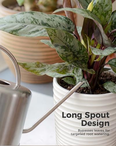 Bamworld Metal Watering Can for Indoor Outdoor Plant 1L/35oz Silver - Image 4