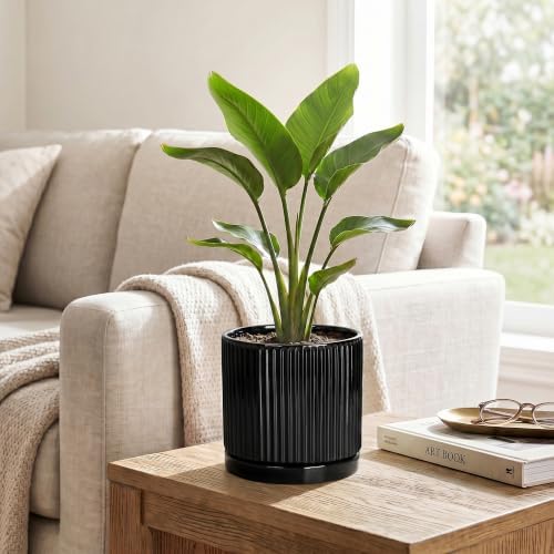 Ceramic Pots for Plants, 6 Inch Plant Pots with Saucer, Black - Image 5