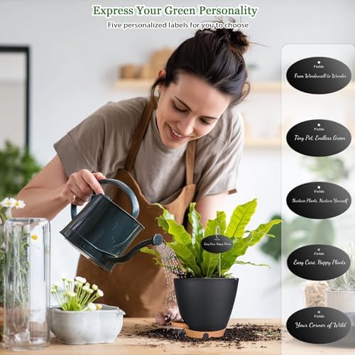 6" Self Watering Pots for Indoor Plants(5-Pack), Small Plastic Planters - Image 4