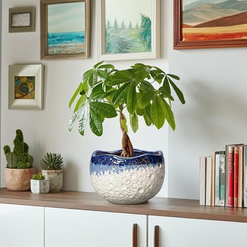 Ceramic Planter 8 Inch, Ceramic Plant Pots Indoor, Beige-Blue - Image 6