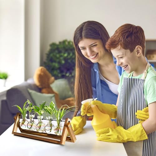 XXXFLOWER Plant Terrarium with Wooden Stand Desk Plant 5 Bulb Vase - Image 3