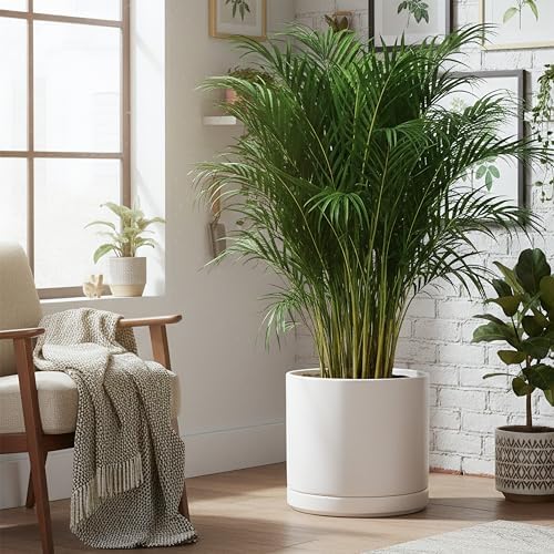 D'vine Dev 16 Inch Ceramic Planter Pot, White, 94-O-H-1 - Image 5