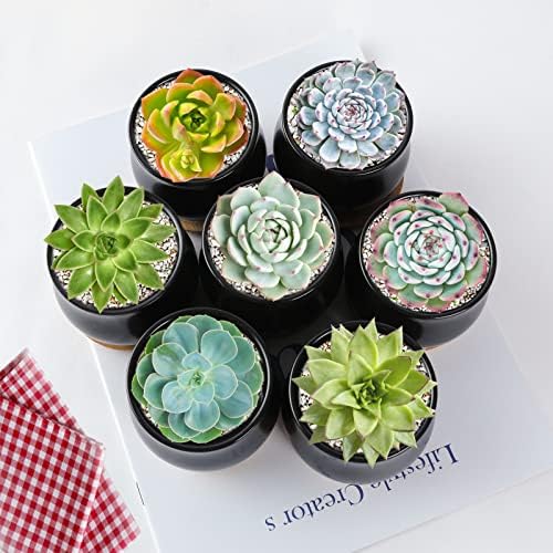SHECIPIN 8 Pack Succulent Plant Pot, Matte Black Mini 2.6 inch Ceramic Flower Planter Pot with Bamboo Tray, Small Pots for Plants, Plants Not Included - Image 7