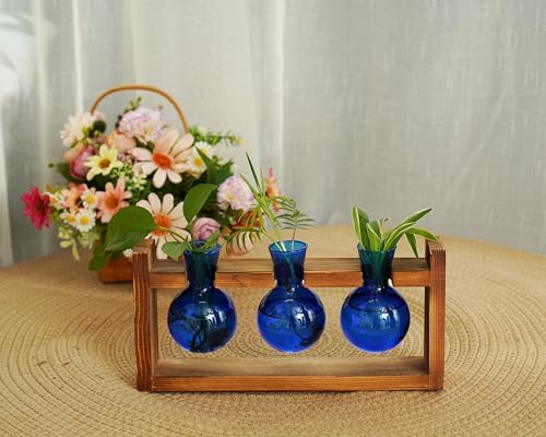 Kingbuy Glass Plant Terrarium Propagation Station - 3 Bulb Colored Vases with Retro Wood Stand Indoor Garden Planter - Wall Mounted & Desktop Decor for Home Kitchen Wedding, Gift for Plant Lover, Blue - Image 4
