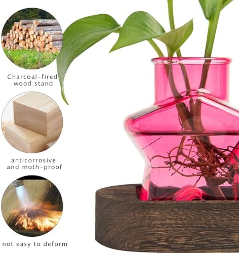 XXXFLOWER Plant Propagation Station with Wooden Stand 3 Pink Star Jars - Image 5
