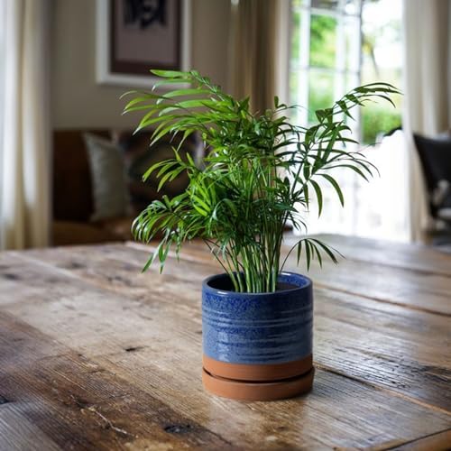 HERDUK 6 Inch Plant Pots, Ceramic Planter Pot with Drainage Hole & Saucer, Indoor/Outdoor Cylinder Round Planter Pot, Aqua Blue & Terracotta Red - Image 5
