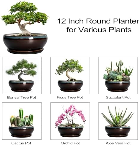 SQOWL Bonsai Planter 12 Inch, Ceramic Large Succulent Pots, Blue-Brown - Image 7