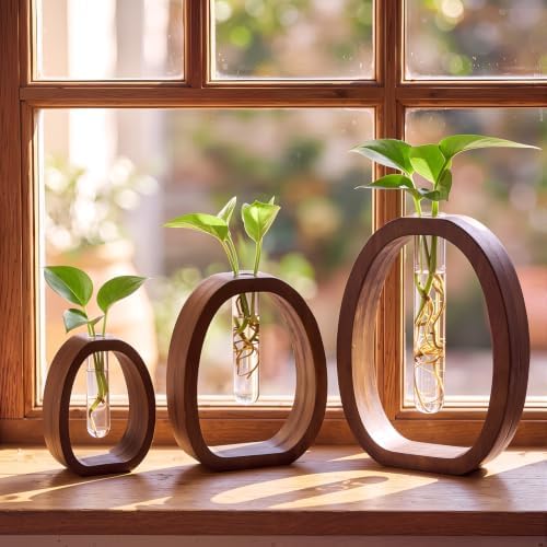 3 Set Plant Propagation Station Vase, Brown, Multiple Sizes by Unknown