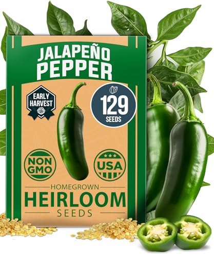 HOME GROWN Jalapeno Pepper Seeds, 129+ Seeds, Capsicum annuum by HOMEGROWN