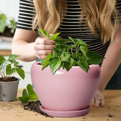 Ceramicfor Ceramic Modern Glaze Succulent Planter Pot with Drainage Hole and Saucer 8 Inch Round Flower Plant Pot for Indoor Outdoor Herb Snake Plants, Pink - Image 5