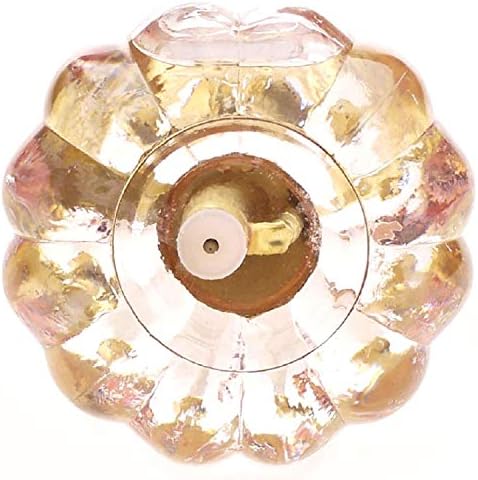 Vintage Style Glass Pumpkin Bottle Sprayer Watering Can Plant Mister with Brass Sprayer Head (Pink) - Image 4