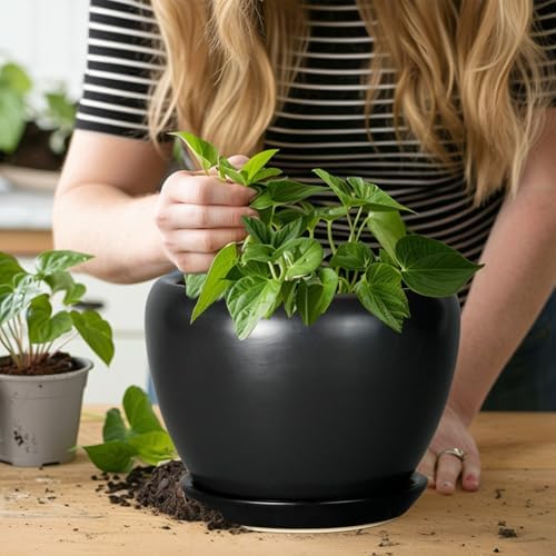 Ceramicfor Ceramic Planter Pot - 8 Inch Plant Pot with Drainage Hole and Saucer Round Planter for Indoor Plants Modern Outdoor Flower Pot for House Balcony Black - Image 4