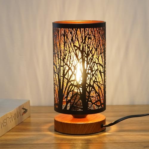 Small Industrial Table Lamps Dimmable, Bedside Lamps for Nightstand,End Table Side Desk lamp with Rustic Black Metal Cage Lampshade for Bedroom, Kids Room Living Room - Image 6