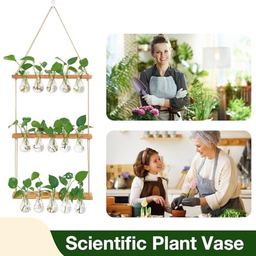 XXXFLOWER Wall Hanging Propagation Station 5 Bulb Vase 3 Tiers - Image 6