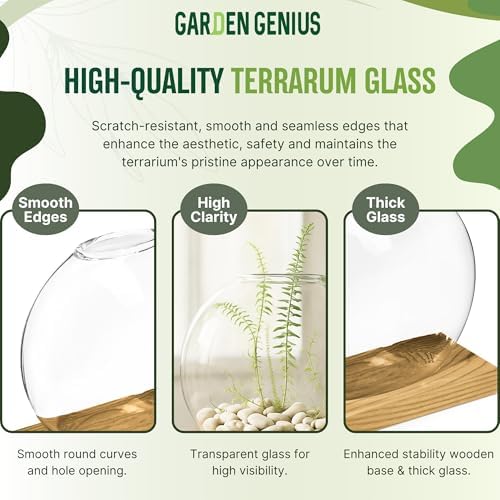 Single Glass Propagation Station with Wooden Base – Hydroponic Plant Terrarium for Home & Office | Ideal Christmas, New Year & Birthday Gift for Plant Lovers, Moms | Desktop Windowsill Planter Vase - Image 6