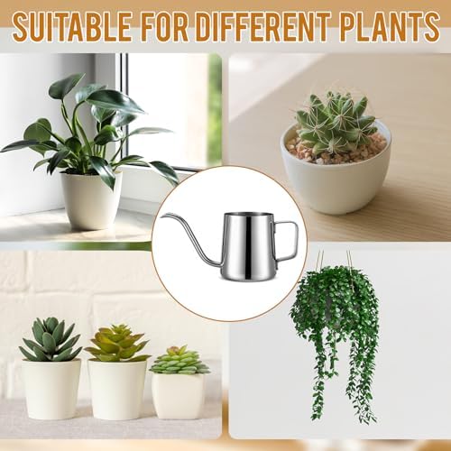 2 Pcs Small Watering Can for Indoor Plants, 12 Oz/350 ml Mini Plant Watering Pot with Long Spout and Scale 304 Stainless Steel Tiny Watering-can for Outdoor Indoor Plants Garden(Sliver) - Image 6