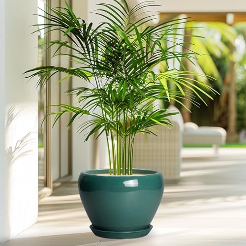 Ceramicfor 8 Inch Plant Pot - Ceramic Planter for Indoor Plants, Green - Image 4