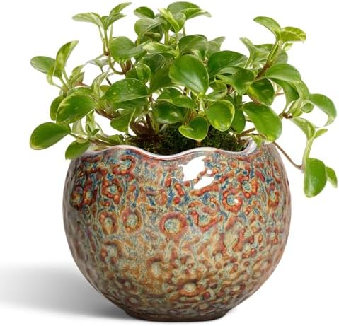 Ceramic Pots for Plants - 4 Inch Plant Pots with Drainage Hole and Plug, Small Succulent Pot for Indoor Plants Outdoor, Modern Flower Pot, Office Decor, Housewarming Gifts, Speckled-Brown by Thirtypot