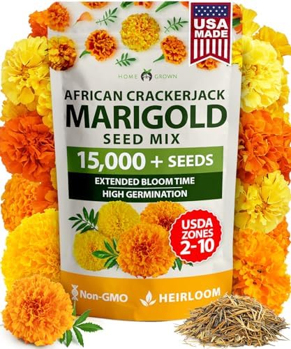 HOME GROWN Crackerjack Marigold 15,000 Seeds, 2.05 oz, Tagetes erecta by HOMEGROWN