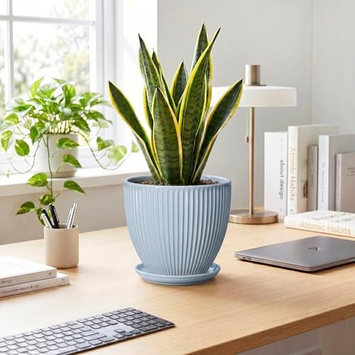8 Inch Plant Pot Indoor, Ceramic Flower Pots with Drainage Hole and Saucer, Round Plant Pot for Indoor House Plants, Modern Plant Pot Indoor, Office Home Decor, House Warming Gifts, Light Blue - Image 3