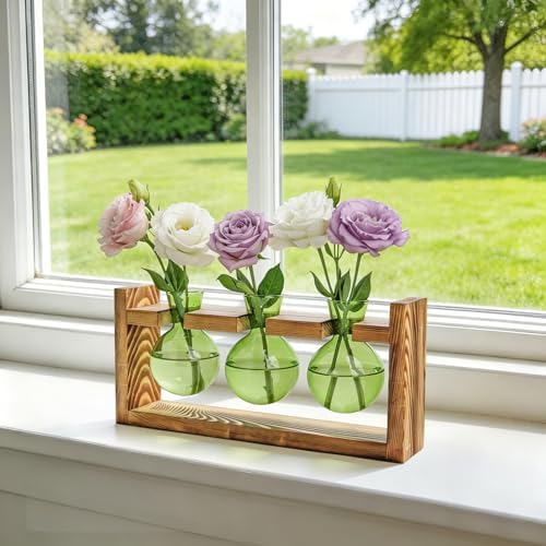 XXXFLOWER Plant Terrarium Jar Propagation Station Stand 3 Green Bulb Vases - Image 6