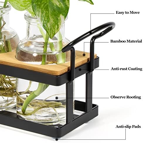 Plant Propagation Station with 5 Glass Jars, Retro Hydroponic Planter Vase - Image 2