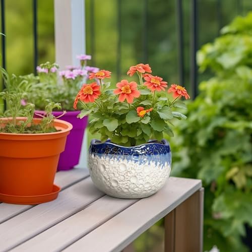 Ceramic Plant Pots, 6 Inch Orchid Pot with Drainage, Beige-Blue - Image 4