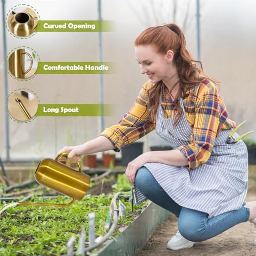 Watering Can Indoor Outdoor Plants, 50oz/1500ml Garden Long Spout Watering Cans, Stainless Steel Plants Watering Can Pot for Indoor House Plants Bonsai Flower Decorative - Image 4