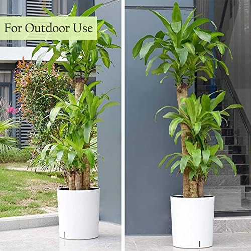SAROSORA Large Round Self Watering Planter Pot 12.5'' 2-Pack for Home Garden Patio Tall Tree(White 2-Pack) - Image 3