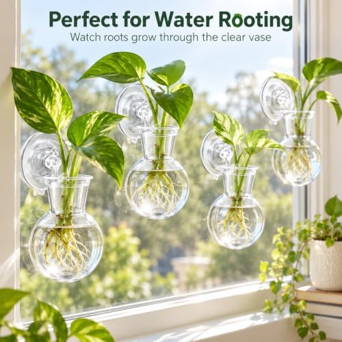 8 Pack Window Propagation Stations, Plastic Plant Terrarium Vases - Image 5