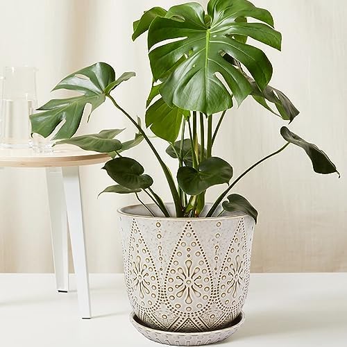 Gepege 10 Inch Ceramic Plant Pot for Indoor Plants with Drainage & Saucer - Image 6