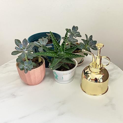 Stainless Steel Plant Sprayer, Small Watering Can Modern Gardening Tool for Indoor Potted Plants Watering and Spraying - Image 4