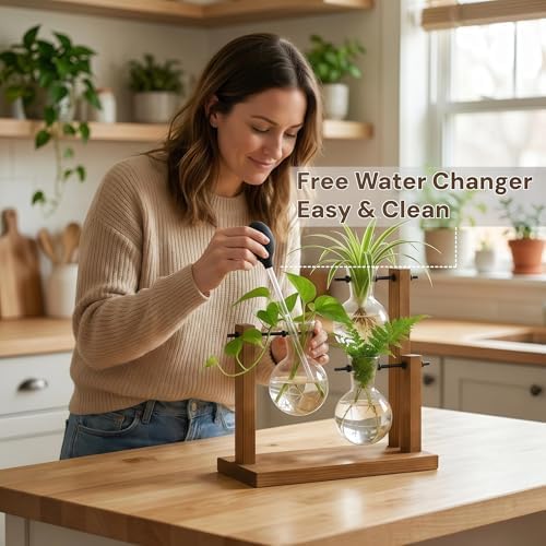 Plant Propagation Station, Wooden Stand with 3 Glass Vases - Image 2