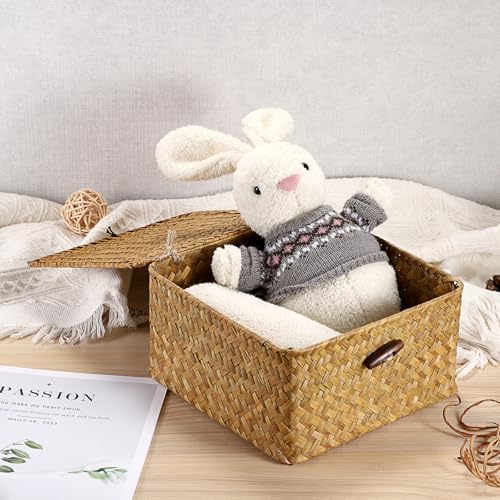 Hipiwe Handwoven Wicker Shelf Basket Bin with Lid Decorative Baskets Box - Image 4