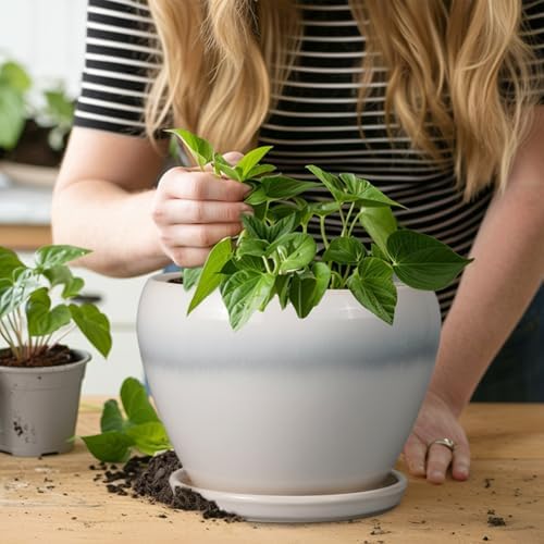 Ceramicfor Ceramic Planter - 8 Inch Plant Pot with Drainage Hole and Saucer, Glaze Round Flower Pot for Home Garden Patio Office, White - Image 7