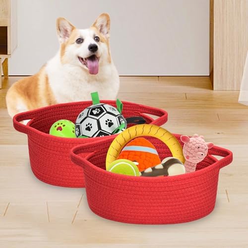 ABenkle Small Basket with Handles, Boho Decorative Rope Woven Dog Cat Toy Storage Bin Shelf Storage Organizer, Easter Christmas Gift Basket, 12"x8"x5" - Image 3