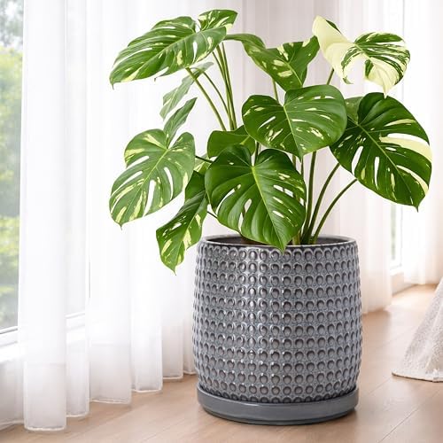 D'vine Dev Beaded Ceramic Pot with Saucer, 10 in, Graphite Blue, 27-C-P-9 - Image 6