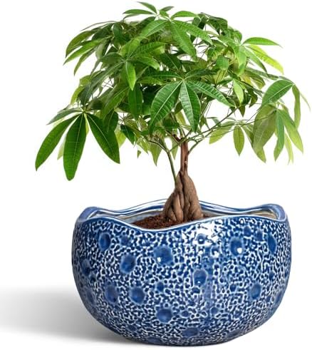 10 Inch Plant Pot, Ceramic Pots for Plants Indoor, Blue by Thirtypot