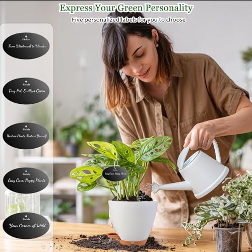 6" Self Watering Pots for Indoor Plants, 5-Pack Small Plastic Planters - Image 3