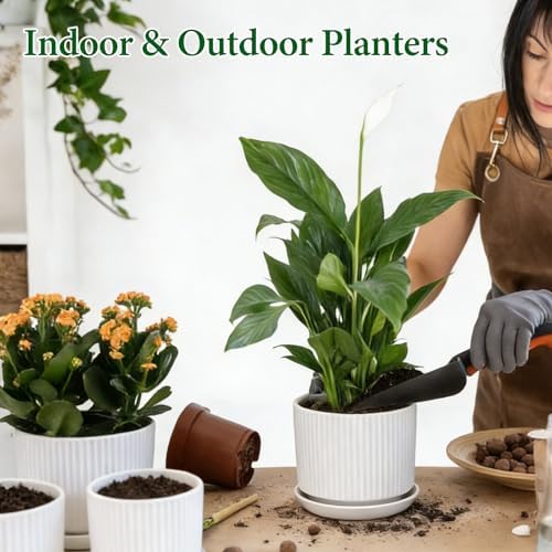 Ceramic-Flower-Pots-Sets-with-Saucer, 5/6/8 inch Small Planters for Indoor Plants with Drainage Hole, White Vertical Stripe Plant Pots for Home Decor, Outdoor Garden Pot For Succulent Cactus Herb - Image 2
