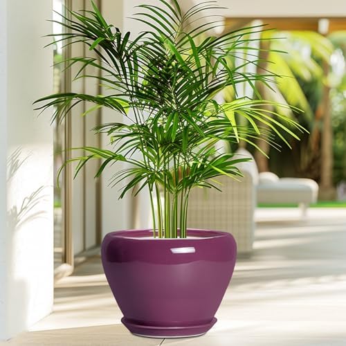 Ceramicfor Ceramic Planter - 8 Inch Plant Pot Indoor with Drainage Hole and Saucer, Glaze Decorative Planter, Round Flower Pot, Plant Lover Gifts, Home Garden Office Decor, Purple - Image 4