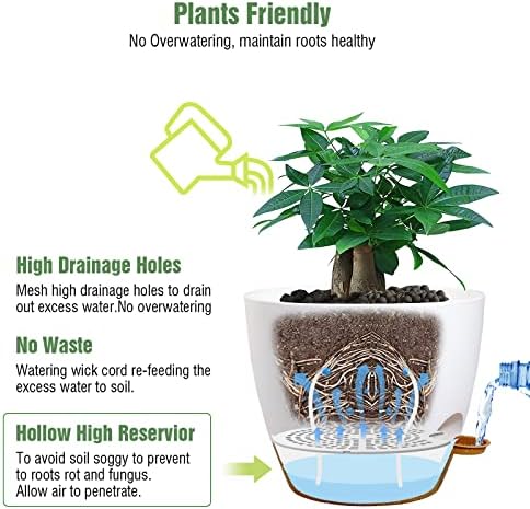 UOUZ 12 inch Large Self Watering Pots, Plastic Planters with 60oZ Removable Deep Reservoir and Multi Mesh Drainage Holes for Indoor Outdoor Garden Plants and Flowers, White with Brown - Image 3