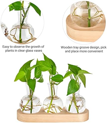 Mkono Plant Propagation Station, Desktop Glass 3 Bulb Vase Beige Wood Tray - Image 4