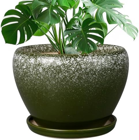 Ceramicfor 10 Inch Planter Pot, Ceramic Pots for Plants, Dark Green by Ceramicfor