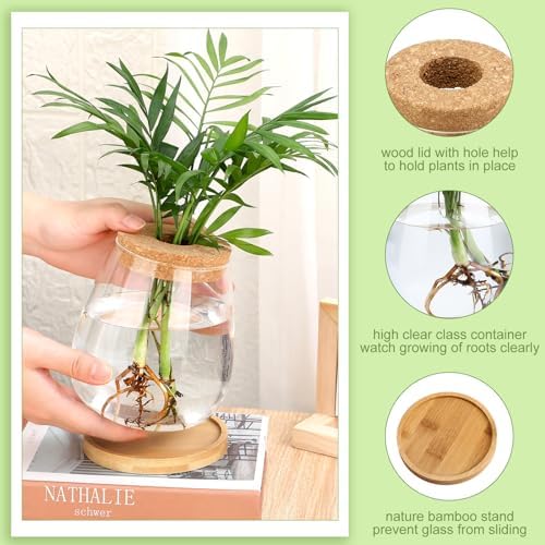 Layhit 4 Pcs Plants Propagation Stations vases Glass Planters with Wooden Lid and Bamboo Stand for Hydroponic Plants Gardening Gifts for Women Mom Home Office Tabletop Decoration(Cute Style) - Image 4