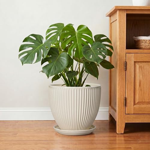 Ceramic Plant Pots, 10 Inch Pots for Plants with Drainage Hole and Saucer, Round Flower Pot for Indoor Plants, Decorative Indoor Planter, House Porch Decor, House Warming Gifts, Cream White - Image 6