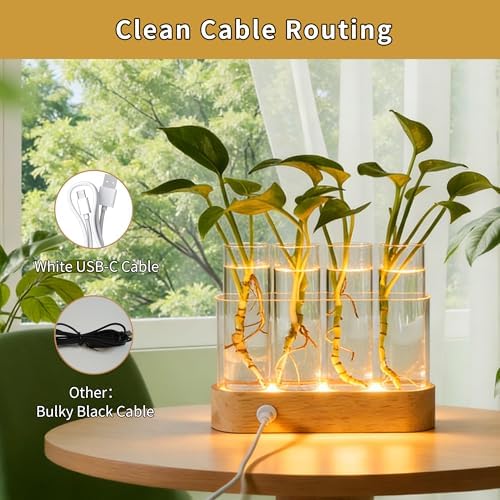 Plant Propagation Station with LED Grow Lights, 4 Glass Tubes & Oak Stand - Image 5