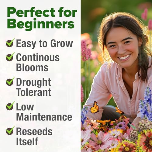 HOME GROWN Monarch Butterfly Wildflower Mix Seeds, 20,000+ Seeds, 2 oz - Image 4