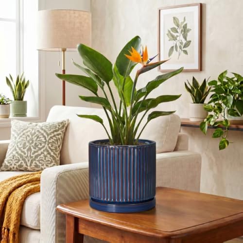 8 Inch Plant Pot, Ceramic Planters with Saucer, Retro Blue - Image 6